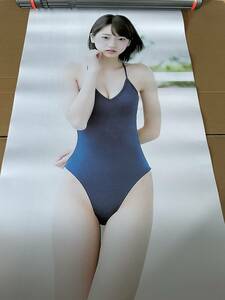  Takeda .. life-size poster 1