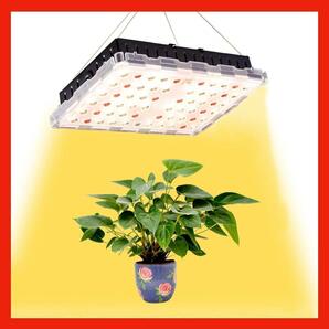 植物育成ライト LED パネル 30W 植物ライト 4000K 水耕栽培 フルスペクトル 園芸 新品 未使用