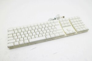 [JUNK]Apple оригинальный USB клавиатура японский язык расположение A1048 простой рабочее состояние подтверждено [tkj-02545]
