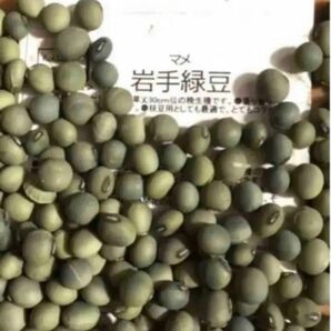 【栽培時農薬不使用】伝統野菜　岩手緑豆　30粒