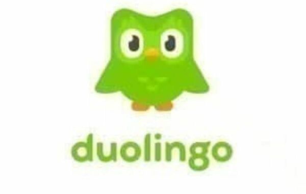 Duolingo 1年　デュオリンゴ