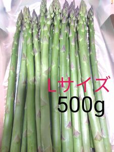 アスパラ　Ｌサイズ　会津産　500g　500グラム　アスパラガス　野菜