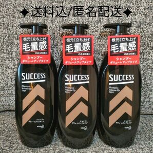 【3本】サクセス シャンプー ボリュームアップタイプ 本体 350ml