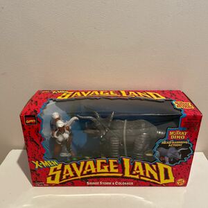 マーベル エックスメン X-MEN SAVAGE LAND フィギュア トイビズ TOY BIZ【SAVAGE STORM & COLOSSUS】