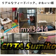 屋内猫ケージ 2段子猫ケージハウス 屋外猫ケージ フェレットケージ 小動物、ウサギ、キャンプ、簡単組み立て用 75*75*83cm black_画像7