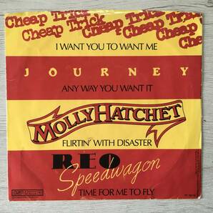 CHEAP TRICK JOURNEY REO SPEEDWAGON MOLLY HATCHET ROCK MINI ALBUM US盤　PROMO 