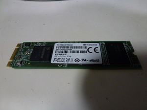 M.2 SSD Transcend TS256GMTS800 256GB 動作確認済