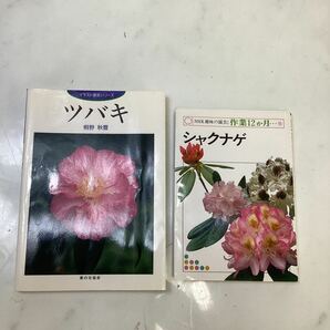 花栽培の本　椿　シャクナゲ　イラスト園芸　家の光教会 NHK趣味の園芸　（J147）