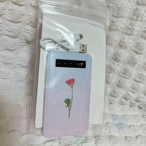 USB出力 リチウムイオンポリマー充電器 バラ 薔薇