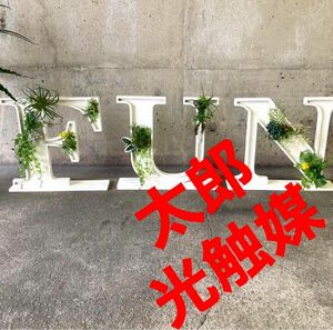 光触媒　人工観葉植物　ウォールグリーン　フェイクグリーン　壁掛け　アルファベット