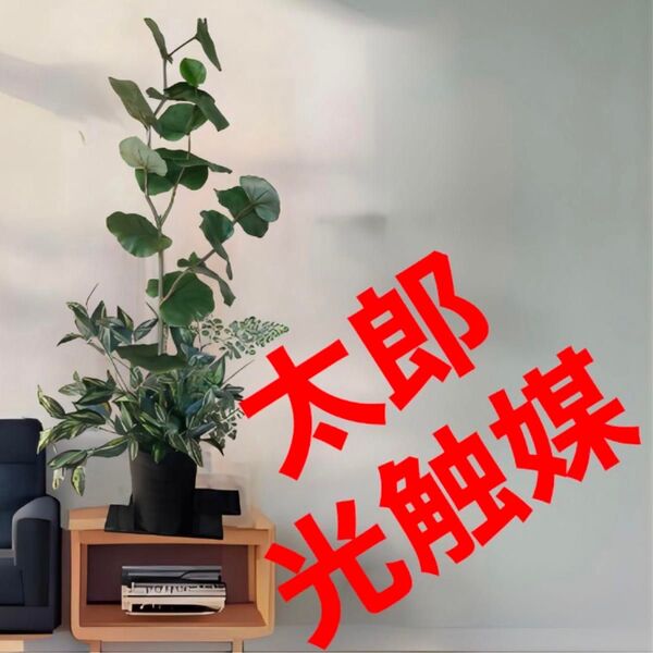 光触媒 人工観葉植物 ウォールグリーン フェイクグリーン シーグレープトラカンgptj