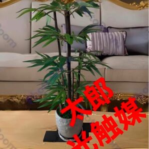 光触媒　人工観葉植物　ウォールグリーン　フェイクグリーン　黒竹7042