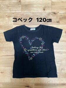 コペック 120㎝ 半袖Tシャツ 黒Tシャツ バックプリント 女の子 子供服