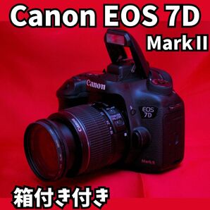 【バリバリ使える！】　Canon EOS 7D mark2 レンズキット　デジタルカメラ　一眼レフカメラ　スマホ転送可能　