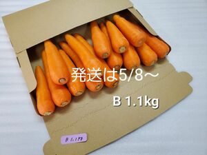 にんじん　1.1kg　わけあり　熊本県産