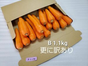 にんじん　1.1kg　更に訳あり　熊本県産