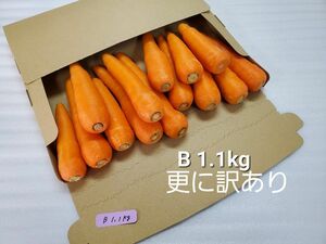 にんじん　1.1kg　更に訳あり　熊本県産