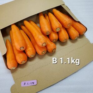 にんじん　1.1kg　わけあり　熊本県産