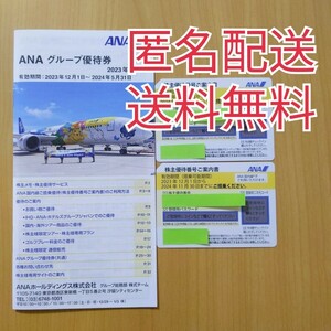 全日空 ANA 株主優待券 乗車割引券 グループ優待券 航空券（24/11/30迄） 優待冊子付