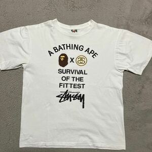 A BATHING APE BAPE KAWS STUSSY tee tシャツ Logo ワールドツアー　ショーンロゴ　SHARK STA camo シャーク
