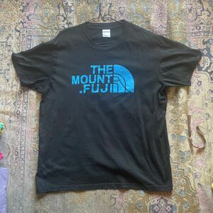 THE ノースフェイスTシャツ 半袖 風