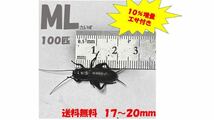 《全国配送》《送料無料》《10％増量》　　　《エサ付き》 ML 17〜20mm 100匹クロコオロギ　イエコオロギ　フタホシコオロギ_画像1