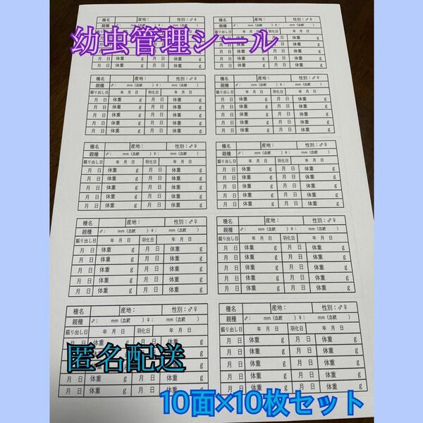 【匿名&24時間以内配送】幼虫管理ラベルシール　10枚セット