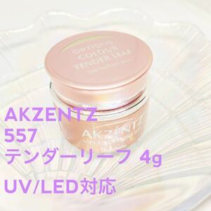 AKZENTZアクセンツ カラー【新品テンダーリーフ/4g】UV／LED