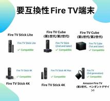 Amazon Fire TV Stick Alexa対応音声認識リモコン（第3）_画像10