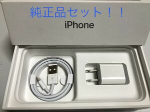 iPhone充電器 ライトニングケーブル 1本 1m 純正品アダプタセット