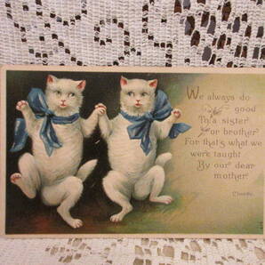 アンティーク ポストカード 絵葉書 エンボス 白い2匹の猫ちゃん CATS リボン メッセージ 画家サイン Clivette 1903年の画像1