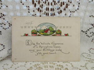  античный открытка открытка с видом en Boss . цветок цветочный горшок дом . дерево . иллюстрации художник автограф сообщение America марка 1916 год 