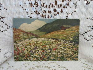 スイス製　アンティーク　ビンテージ　ポストカード　絵葉書　青空　雲　山　丘の上の家　ディジー　お花畑　絵画　スイス切手1924年