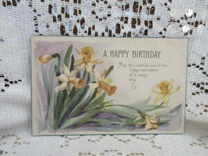 USA made antique picture postcard postcard daffodil message 1921 year 