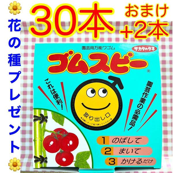 ゴムスビー　園芸用万能ワゴム　30本+おまけ2本