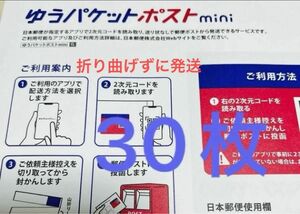 ゆうパケットポストミニ封筒30枚　ゆうパケットポストmini