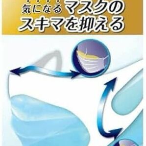 マスピタ ふつうサイズ マスクの隙間を埋める マスクカバー 飛沫 花粉 PM2.5 タナック 日本製 繰返使用 ゲル製 1枚入