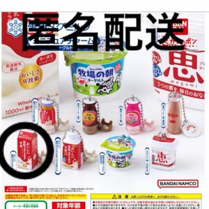 雪印メグミルク ミニチュアチャーム 乳飲料 ヨーグルトシリーズ ガチャ ボールチェーン付　おいしい牛乳