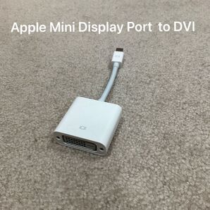 【動作確認済】Apple Mini Display Port DVI アダプター