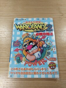 【E1377】送料無料 書籍 ワリオランド2 盗まれた財宝 必勝攻略法 ( GBC 攻略本 WARIO LAND B6 空と鈴 )