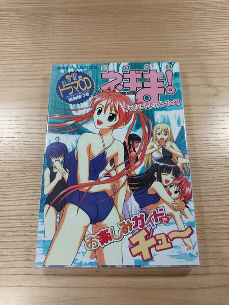 【E1423】送料無料 書籍 ネギま プライベートレッスン1&2 お楽しみガイドでチュー 8cmCD付き ( GBA 攻略本 B6 空と鈴 )