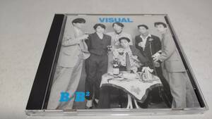 E207　『CD』　VISUAL B/B2 the Best Album ヴィジュアル　matoba shinichi 音声確認済