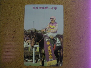 I1176C*tsuru maru Boy horse racing unused 50 frequency telephone card 