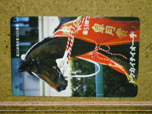 I1231A*330-36451 Toukaiteio horse racing unused 50 frequency telephone card 