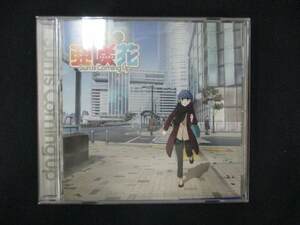 1052＃中古CD Sun Is Coming Up/亜咲花