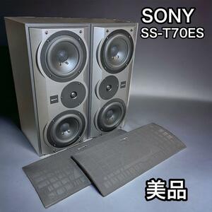 【超レア】SONY ソニー　SS-T70ES　スピーカー　ツイーター搭載