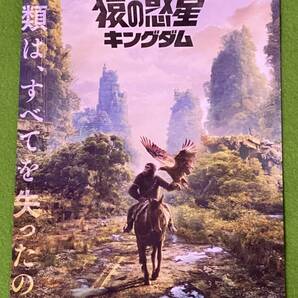 猿の惑星キングダム パンフレット + チラシ ／ ウェス・ボール監督 オーウェン・ティーグ フレイヤ・アーラン ケビン・デュランドの画像4