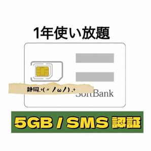 SIM データ 5GB高速テータ通信専用 SMS認証 