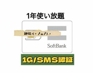 SIM データ 1GB高速テータ通信専用 SMS認証 