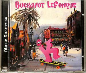 D00140724/CD/Buckshot LeFonque「Music Evolution」